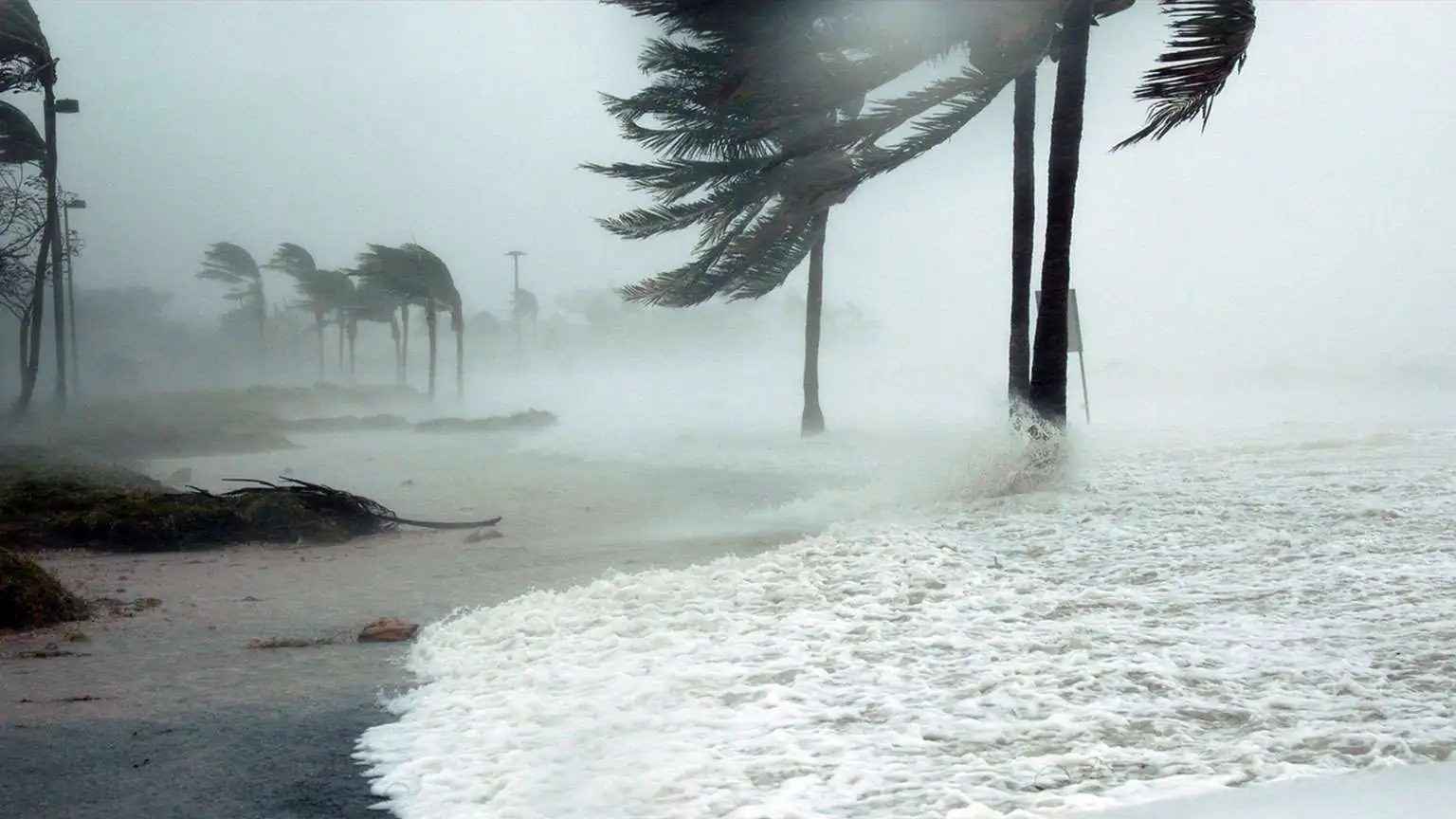 storm-photo-02