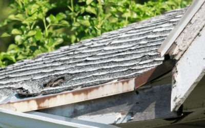 How to Assess Roof Damage After a Natural Disaster