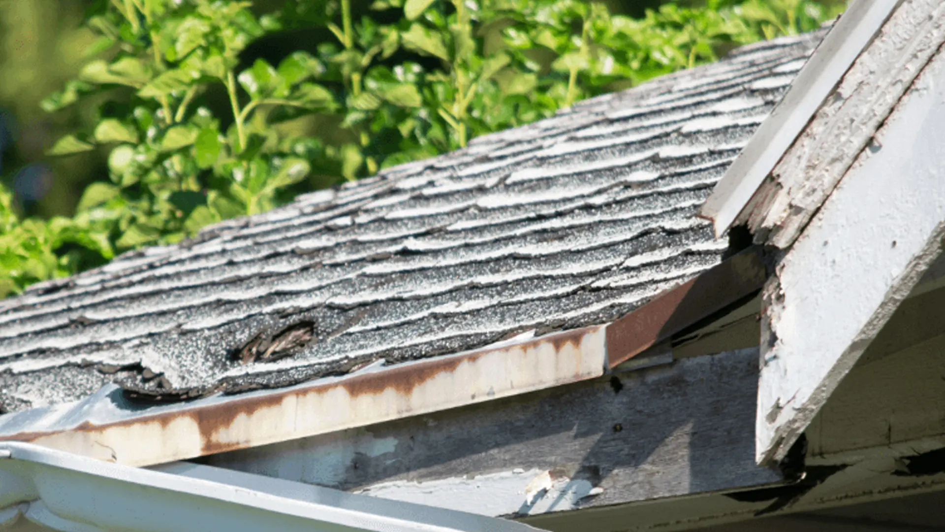 Storm Damaged Roof | Blue Hammer Roofing Storm Damaged Roof | Blue Hammer Roofing