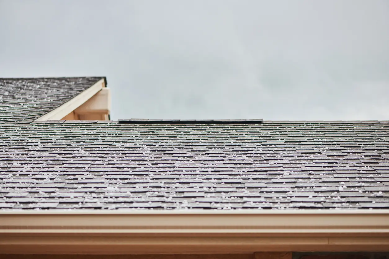Roof shingles with large hailstones after hail storm storm damage restoration